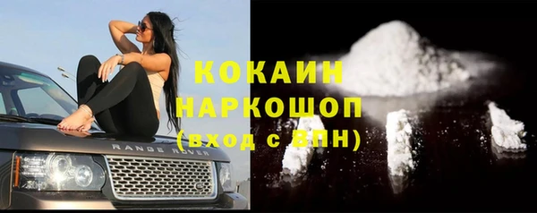 гидра Абаза