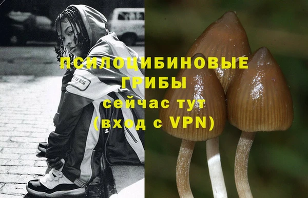 ALPHA PVP Алексеевка