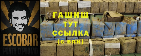 гидра Абаза