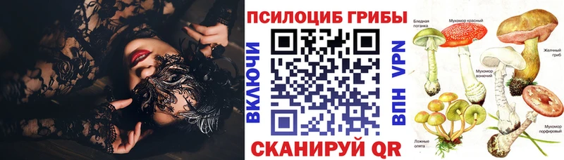 наркошоп  Донецк  Псилоцибиновые грибы Cubensis 