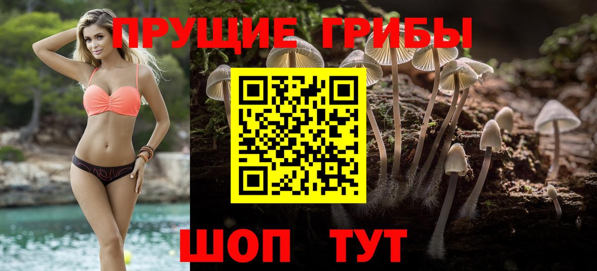 Псилоцибиновые грибы Psilocybine cubensis  Вход с VPN  Донецк 